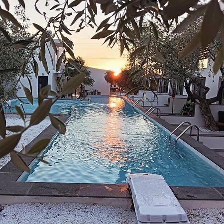 The Olive Hills Skala Rachoni (Thasos) Exterior foto