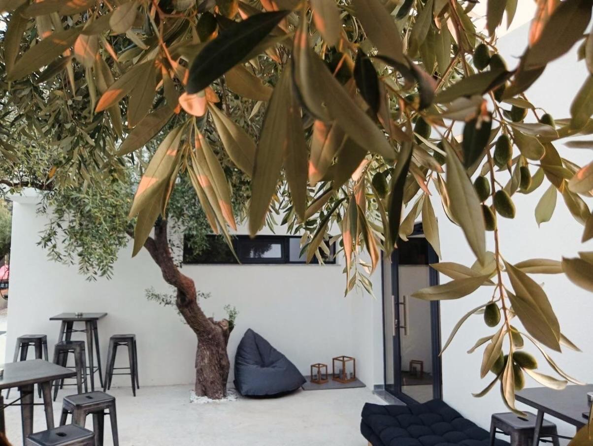 The Olive Hills Skala Rachoni (Thasos) Exterior foto