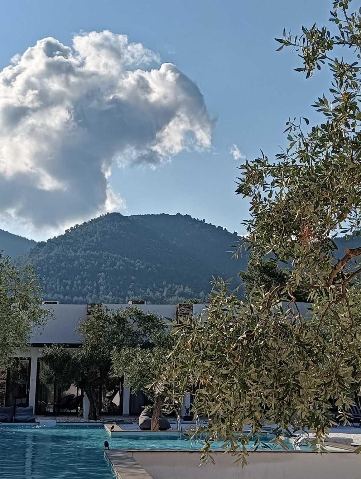 The Olive Hills Skala Rachoni (Thasos) Exterior foto