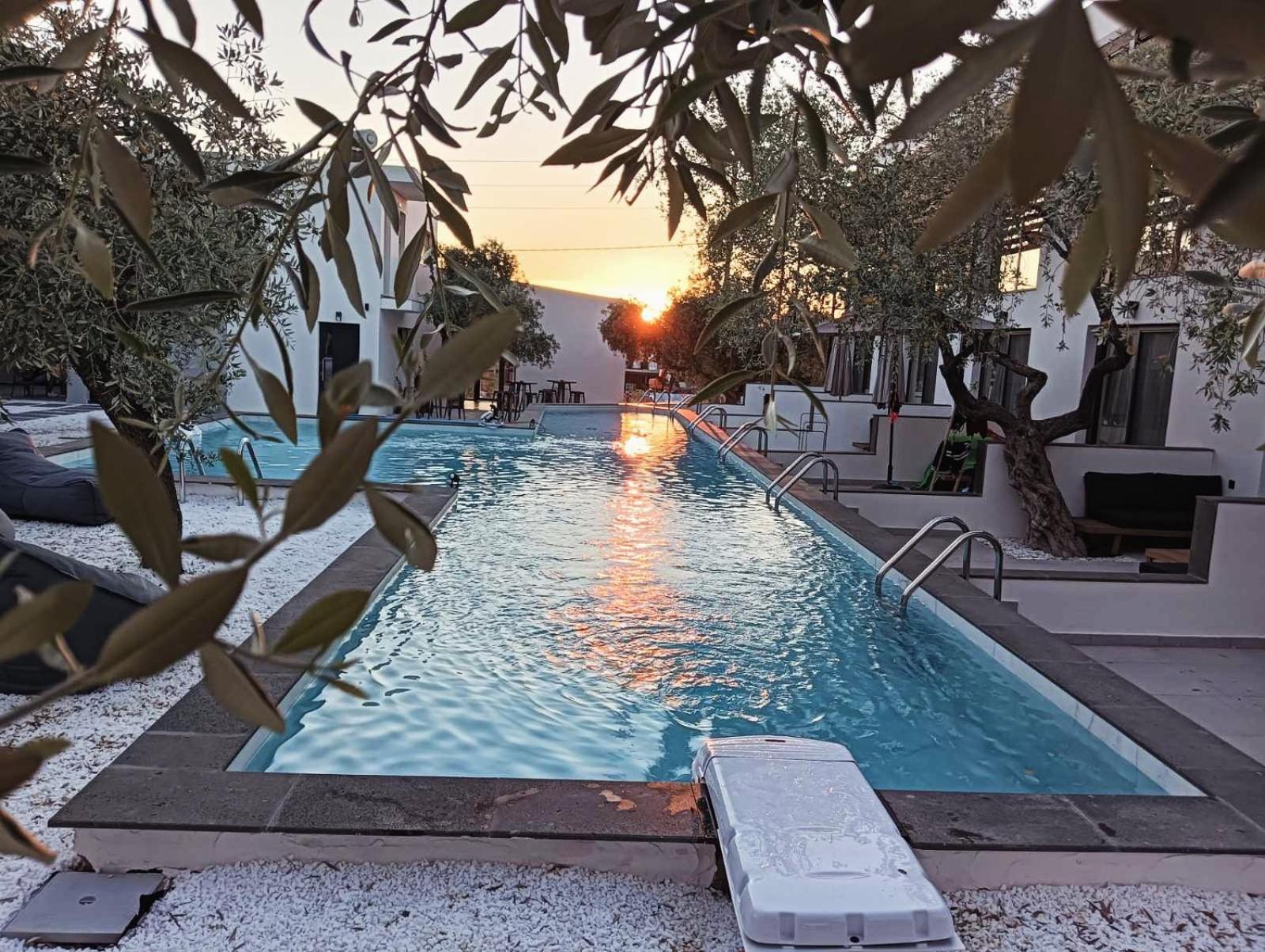 The Olive Hills Skala Rachoni (Thasos) Exterior foto