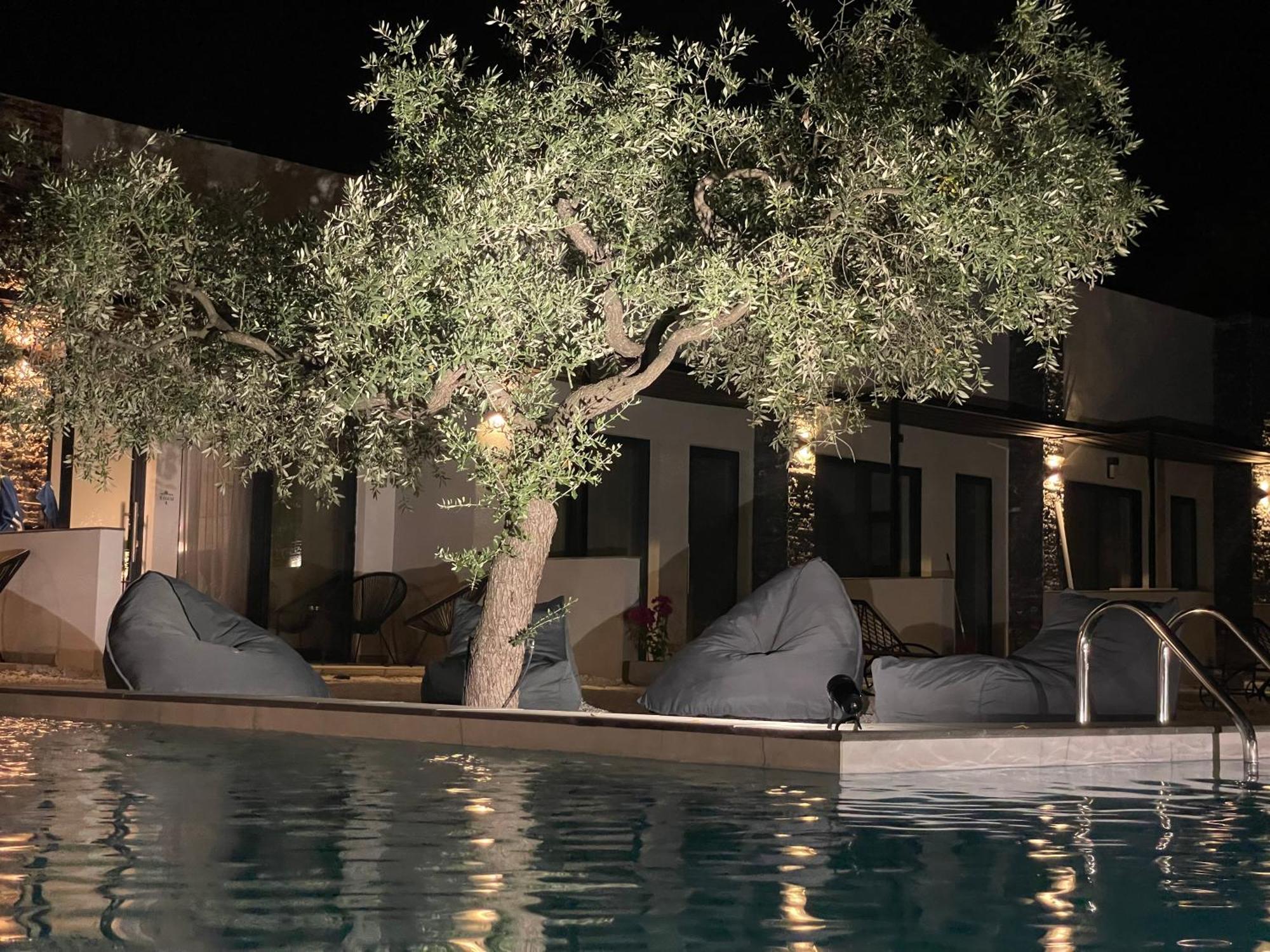 The Olive Hills Skala Rachoni (Thasos) Exterior foto