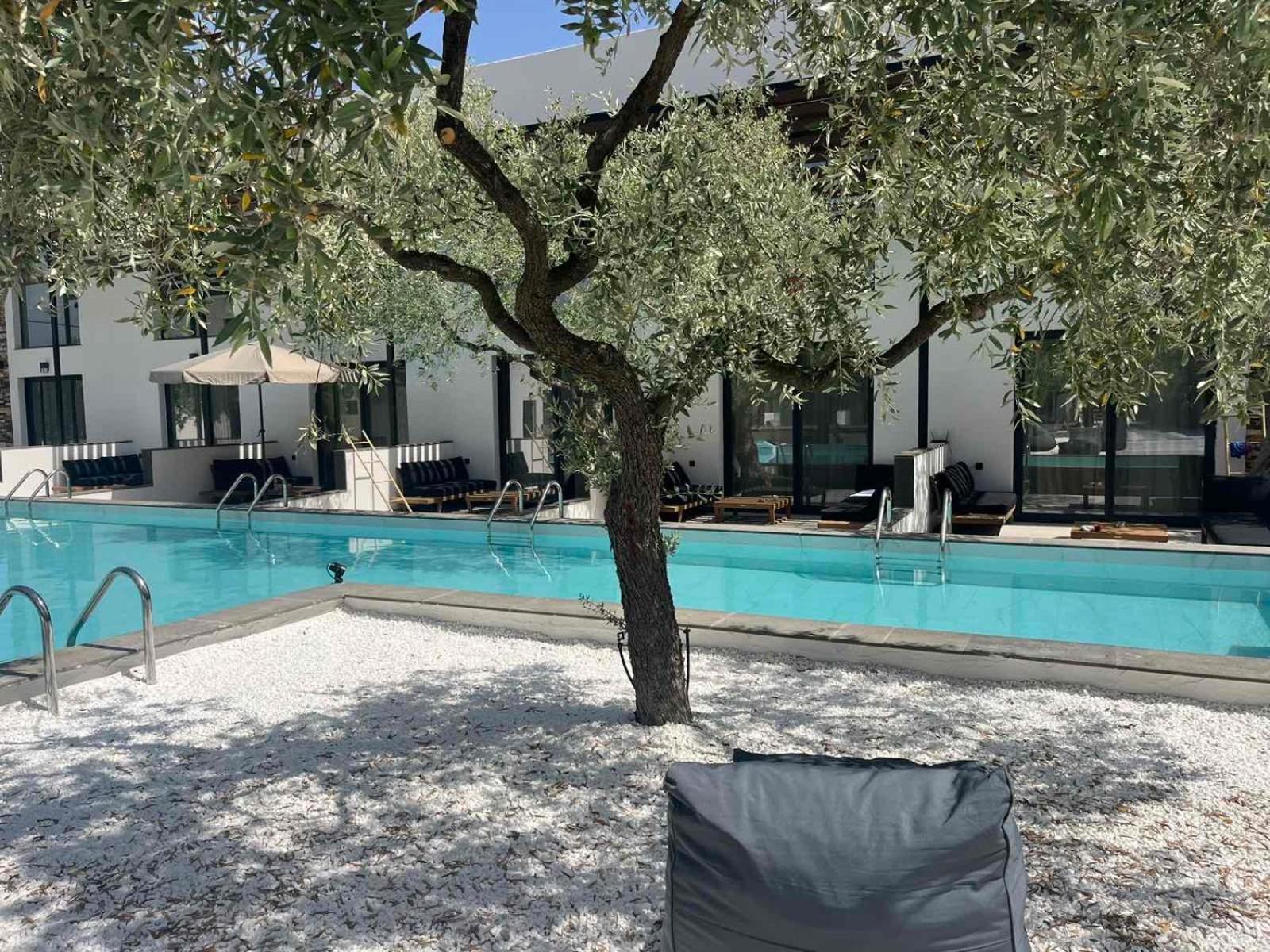 The Olive Hills Skala Rachoni (Thasos) Exterior foto