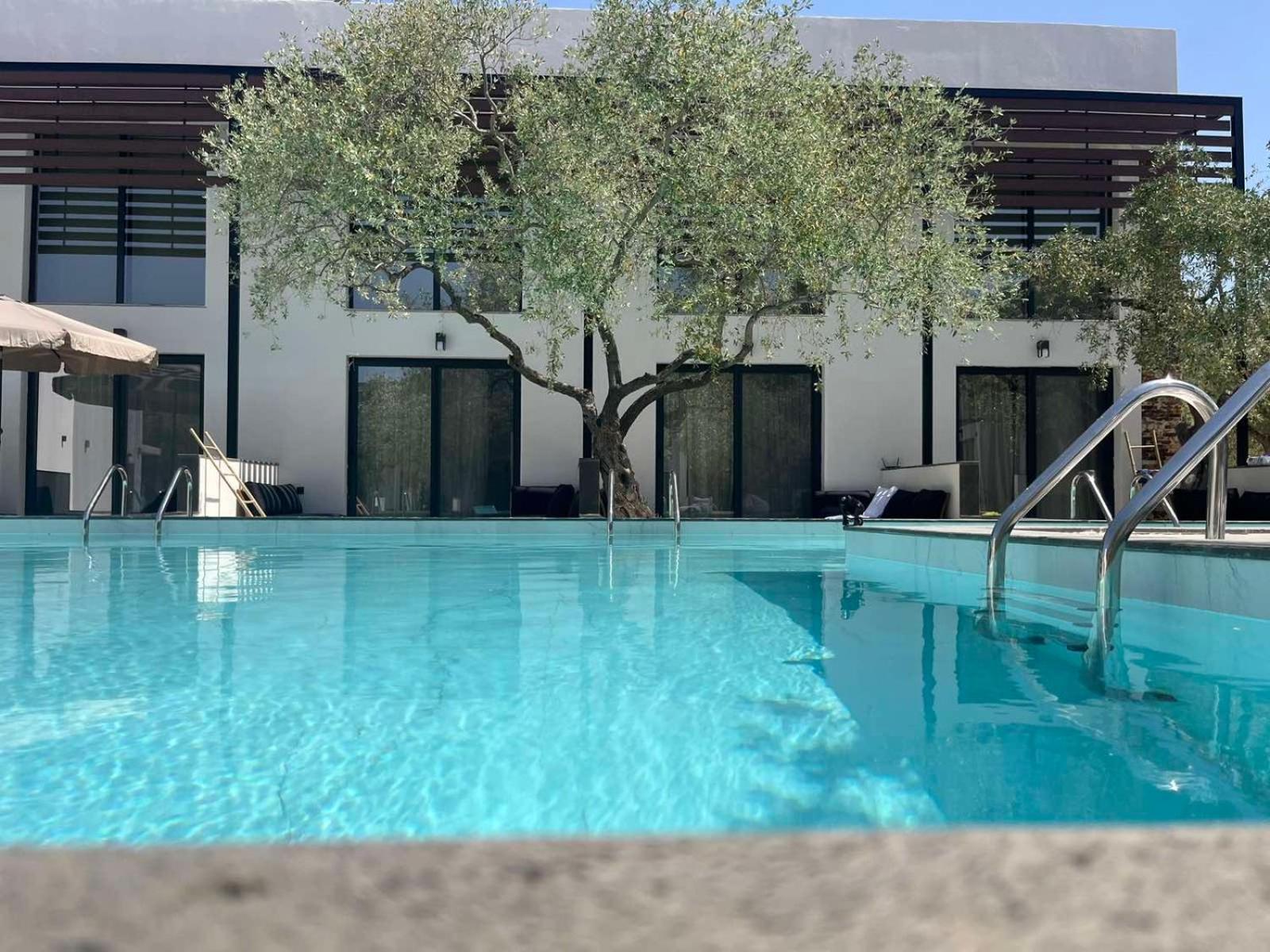 The Olive Hills Skala Rachoni (Thasos) Exterior foto
