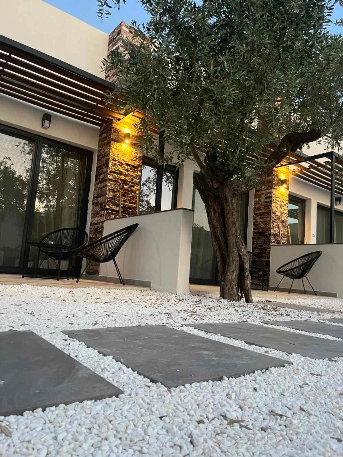 The Olive Hills Skala Rachoni (Thasos) Exterior foto