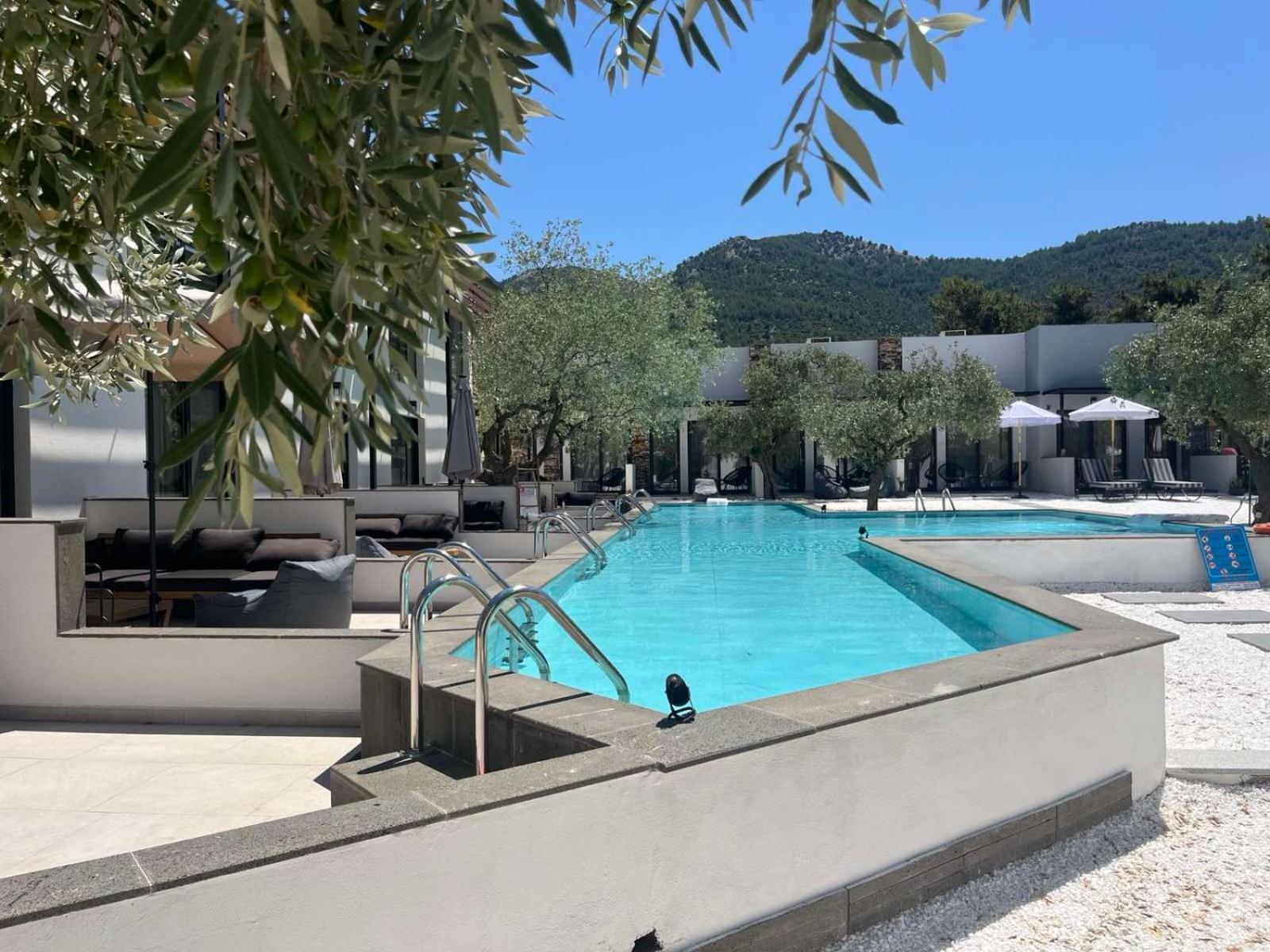 The Olive Hills Skala Rachoni (Thasos) Exterior foto
